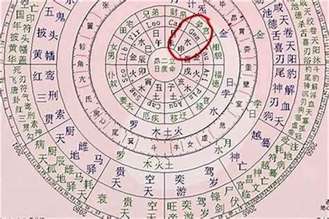 清秀命格|八字清秀命是什么命（算命清秀命是什么意思）